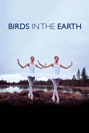 Birds in the Earth's poster