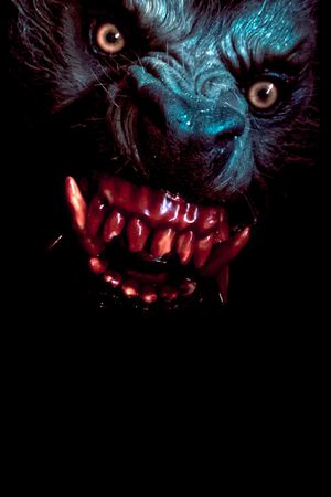 An American Werewolf in London's poster