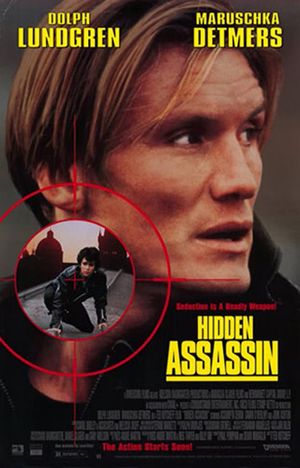 Hidden Assassin's poster
