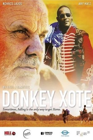 Donkey Xote's poster