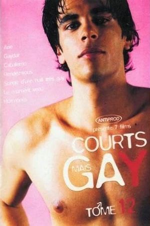 Courts mais GAY: Tome 12's poster