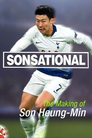 Sonsational's poster