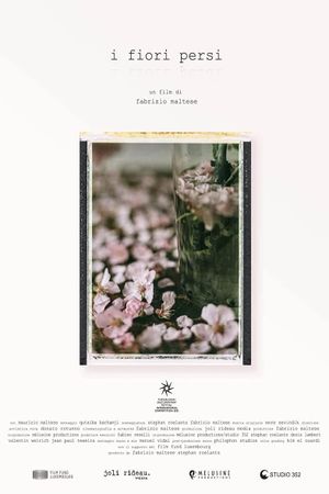 Lost Flowers's poster