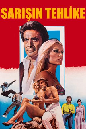Sarisin Tehlike's poster