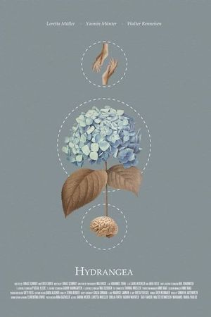 Hydrangea's poster