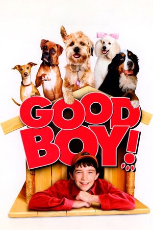Good Boy's poster