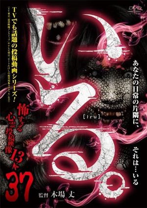 「Iru.」~ Kowasugiru Tōkō Eizō 13-hon ~ Vol.37's poster