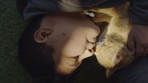 Kedi Adam's poster