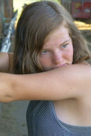 Paula und die Kühe's poster image