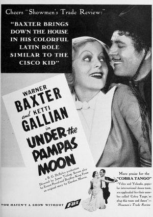 Under the Pampas Moon's poster