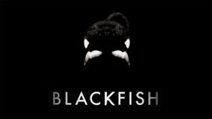 Blackfish's poster