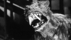 The Killer Shrews's poster