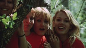 The Amorous Sisters's poster