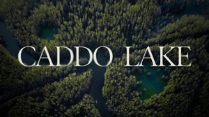 Caddo Lake's poster