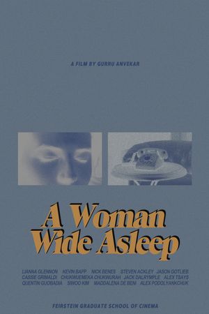 A Woman Wide Asleep's poster image