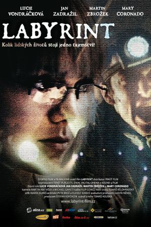 Labyrint's poster