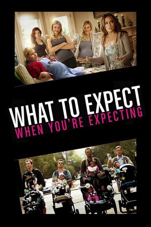 What to Expect When You're Expecting's poster