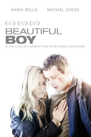 Beautiful Boy's poster