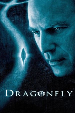 Dragonfly's poster