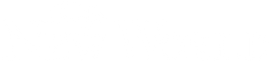 The New World's poster