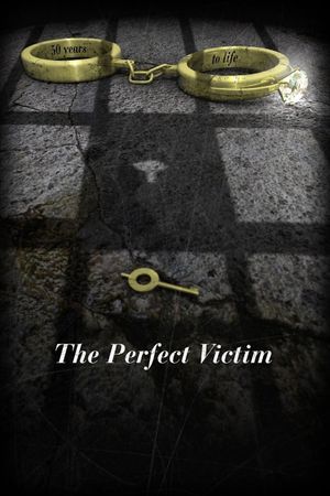 The Perfect Victim's poster