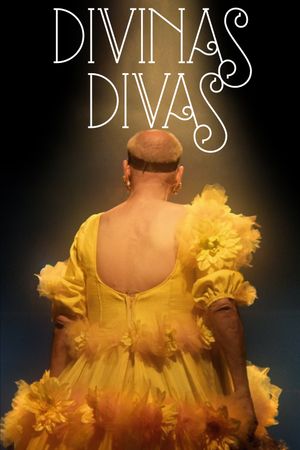 Divine Divas's poster