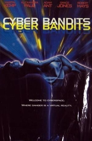 Cyber Bandits's poster