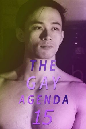 The Gay Agenda 15's poster