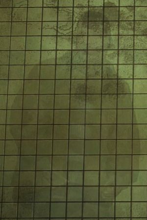 Perpetual Spawning's poster