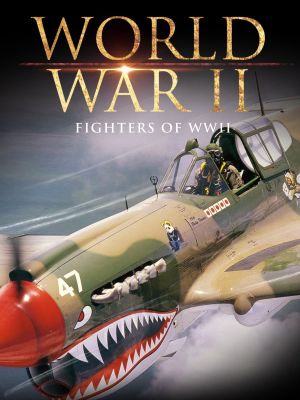 Fighters of WWII's poster