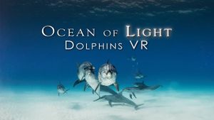 Ocean of Light - Dolphins VR's poster