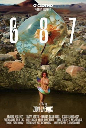 687's poster