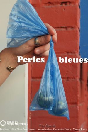 Perles Bleues's poster