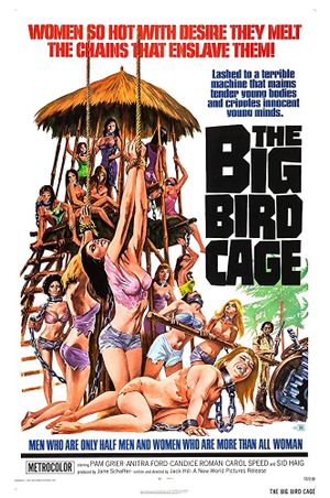 The Big Bird Cage's poster