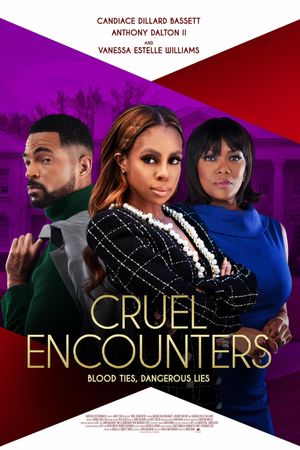 Cruel Encounters's poster