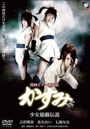 Lady Ninja Kasumi 10's poster