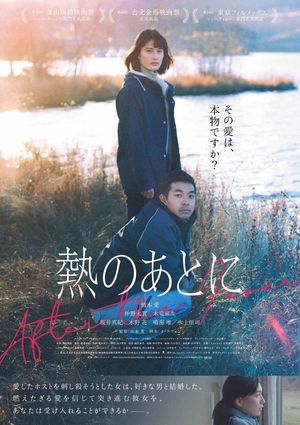 After the Fever's poster