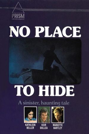 No Place to Hide's poster