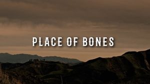 Place of Bones's poster