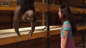 C.I.Ape's poster