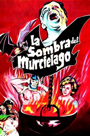 The Shadow of the Bat's poster