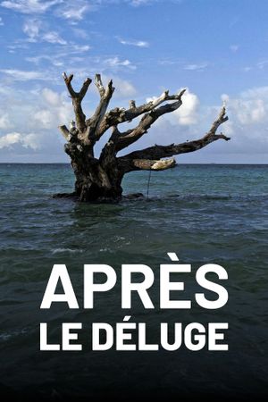 Après le déluge's poster