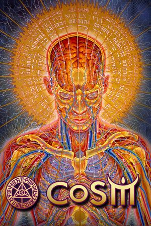 CoSM the Movie: Alex Grey & the Chapel of Sacred Mirrors's poster