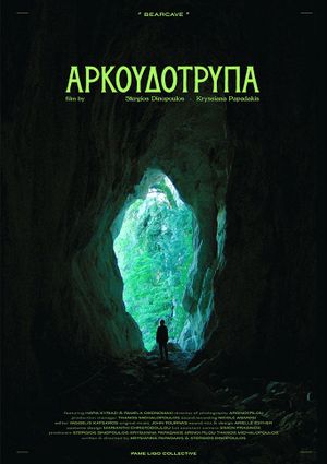 Bearcave's poster