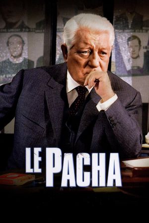 Pasha's poster
