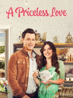 A Priceless Love's poster