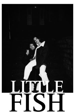 Little Fish's poster