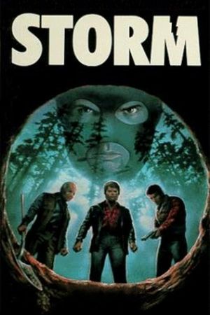 Storm's poster