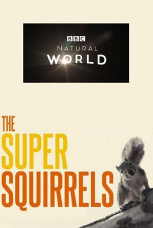 The Super Squirrels's poster