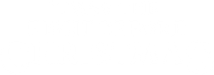 'Twas the Fight Before Christmas's poster